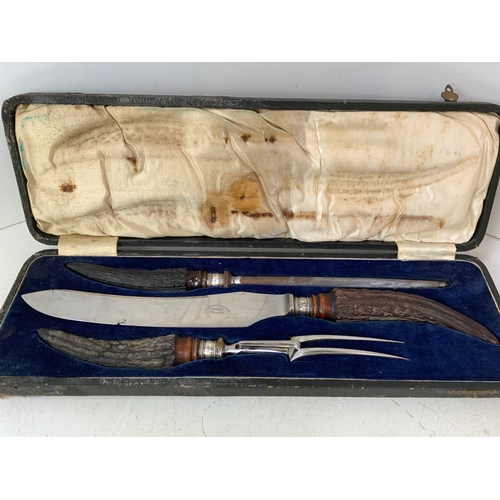 302 - Cased Horn Handled Carving Set