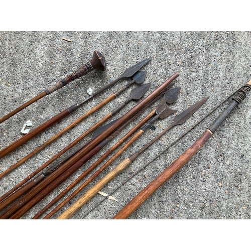 227 - Bow, Arrows and Spears