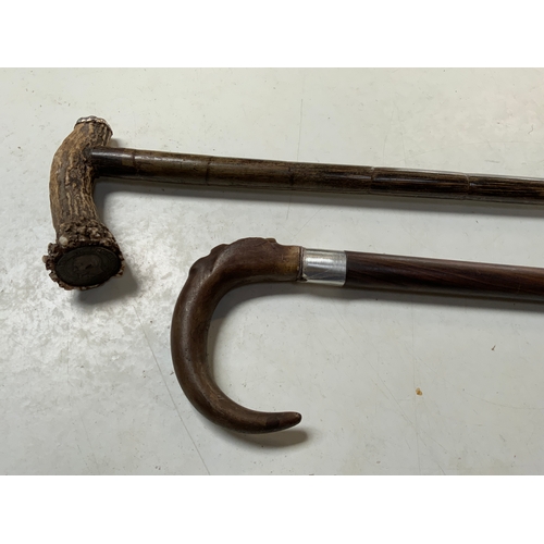 253 - Silver Mounted Ebony Walking Cane and One Other