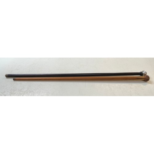 172 - Parquetry Handled Walking Cane, Silver Topped Walking Cane