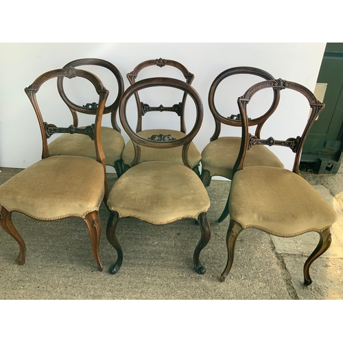 273 - Harlequin Set of 6x Victorian Dining Chairs