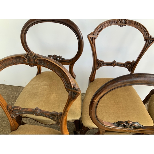 273 - Harlequin Set of 6x Victorian Dining Chairs