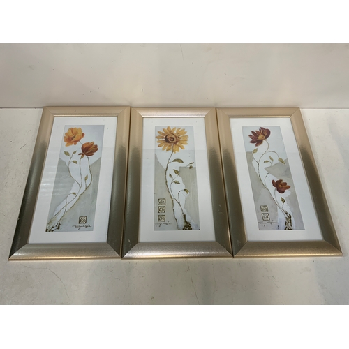 489 - 3x Framed Flower Pictures