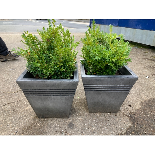 166B - Pair of Planters and Contents