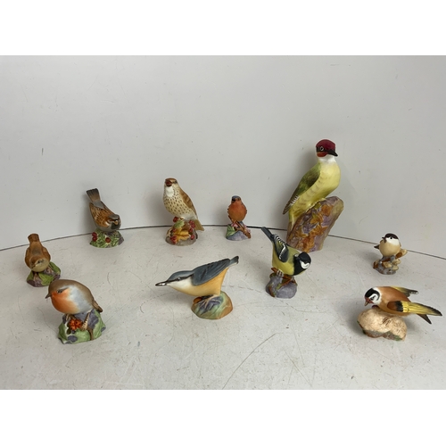 Selection of Royal Worcester Bird Ornaments