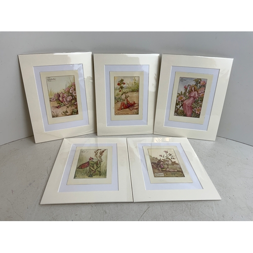 436 - 5x Vintage Prints of Flower Fairies - Cecily Mary Baker 1940 Matching Mounts