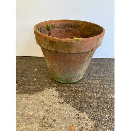 3 - Large Terracotta Pot