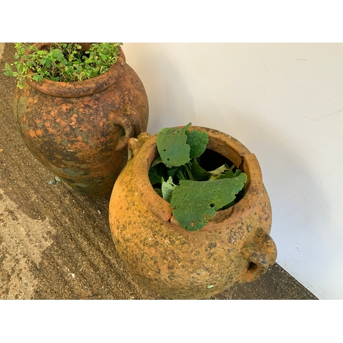 59 - Pair of Terracotta Olive Pots - A/F