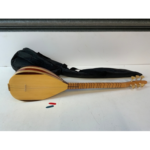 302 - Cased Lute