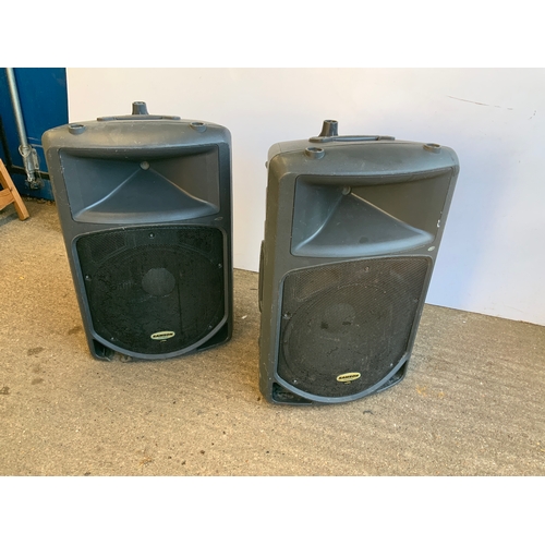 703 - Pair of PA/Disco Loudspeakers