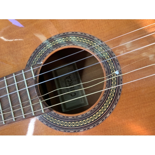 387 - Acoustic Guitar