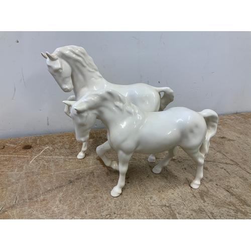 Lot 339       