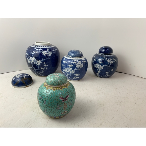 285 - Ginger Jars
