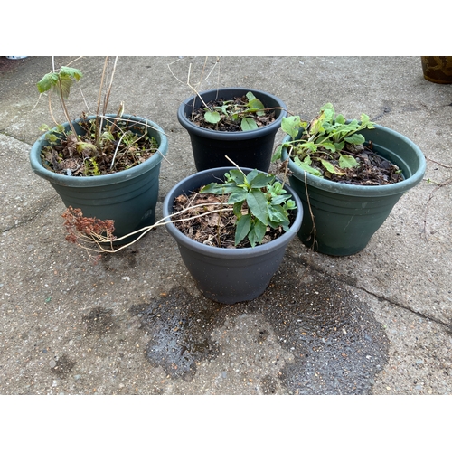 34 - 4x Plastic Planters with Plants