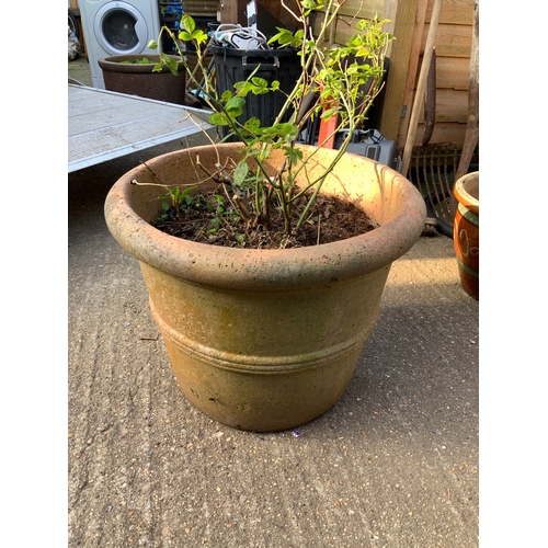 12 - Large Planter with Rose