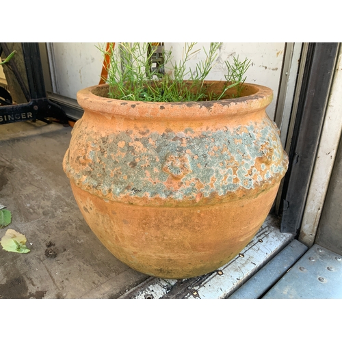 122 - Terracotta Pot
