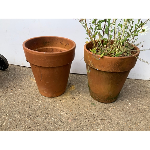 55A - Pair of Terracotta Planters