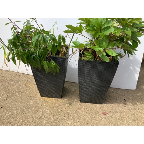 93A - Pair of Plastic Planters