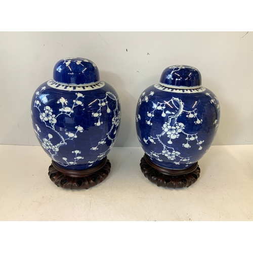 764 - Pair of Large Blue and White Ginger Jars on Stands