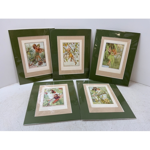 317 - 5x Cecily Mary Baker Flower Fairy Prints 1940 Matching Mounts