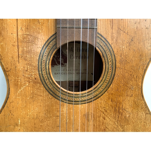509 - Acoustic Guitar