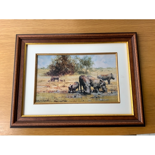 569 - Framed David Shepherd Print