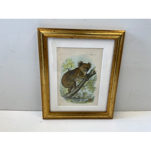 Lot 262       