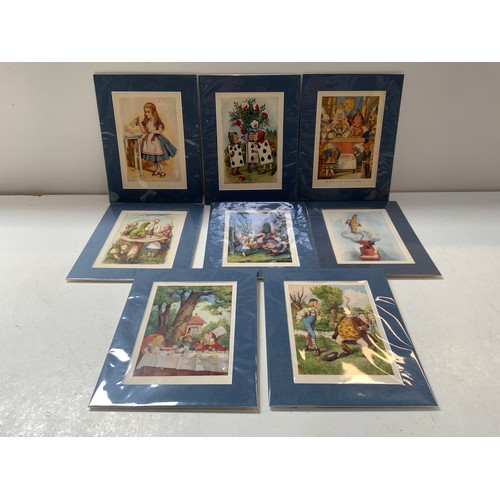 Lot 247       
