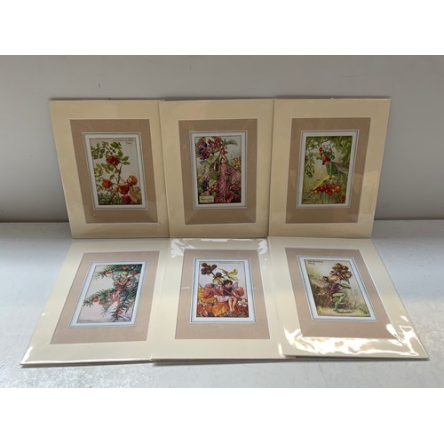 Lot 271       
