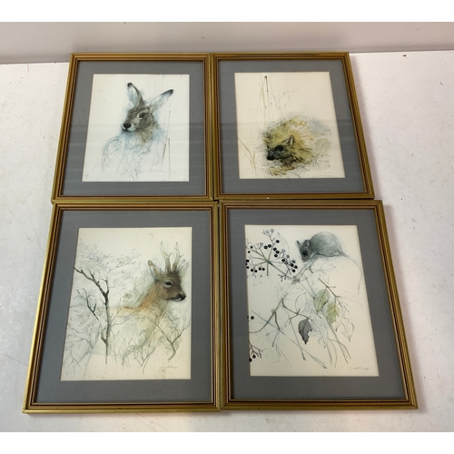 467 - 4x Framed Wildlife Prints