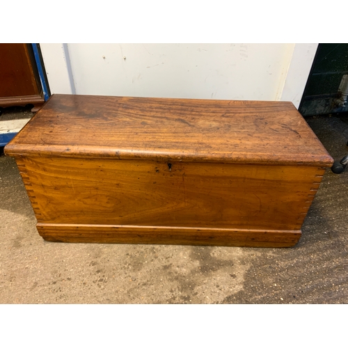 990 - Camphorwood Trunk