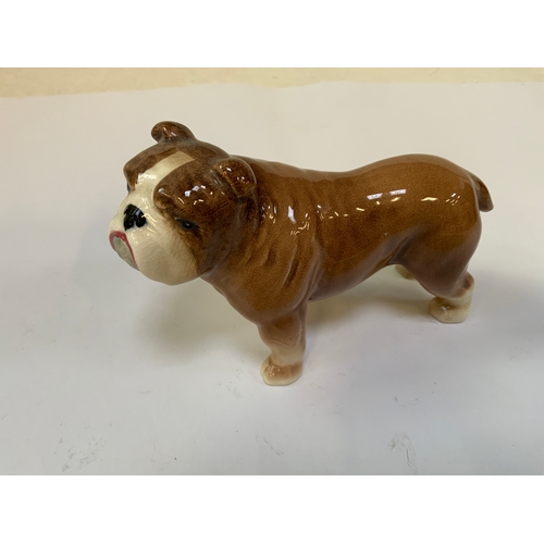 834 - Beswick Bulldog