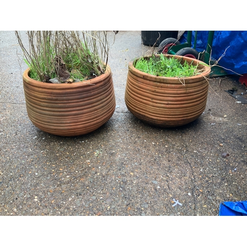 53A - Terracotta Planters