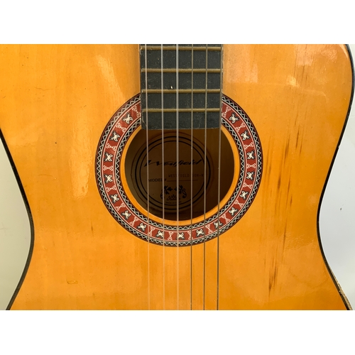 789 - Acoustic Guitar