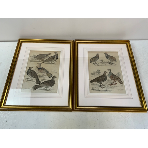 384 - 2x Gilt Framed Pictures - Grouse Partridges
