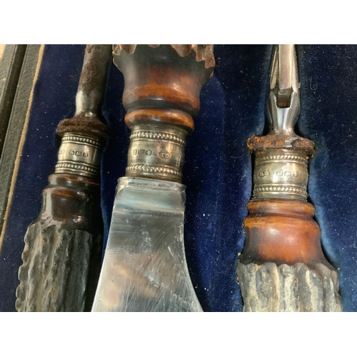 124 - Silver Collared Carving Set etc