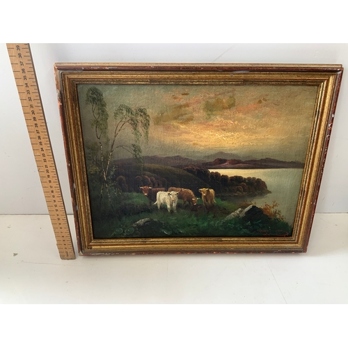 301 - Framed Oil on Canvas