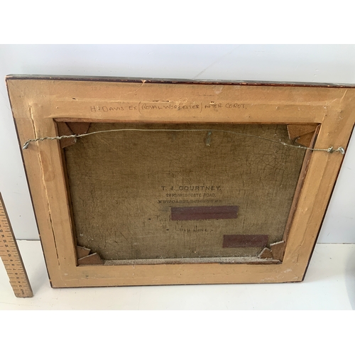 301 - Framed Oil on Canvas