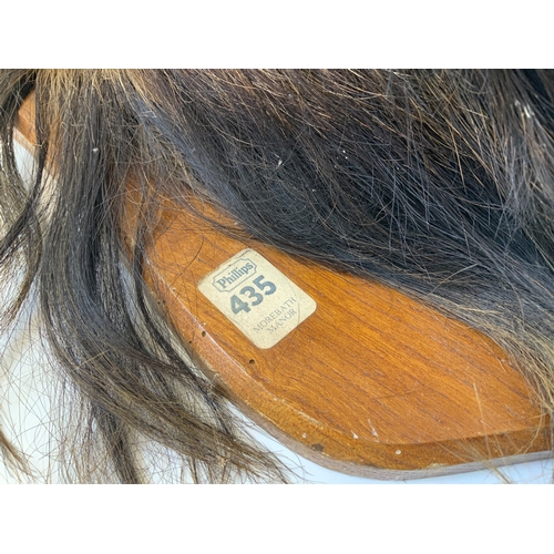 272 - Taxidermy Study of a Feral Goat