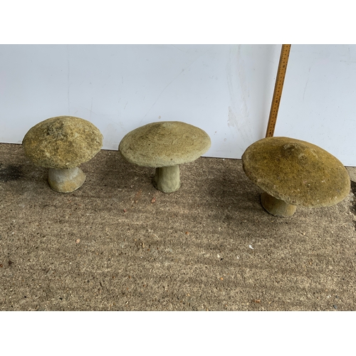 Lot 25        