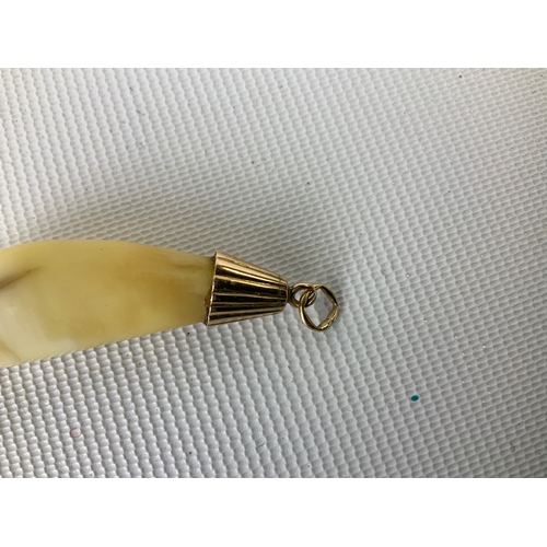 171 - Antique Tooth Pendant - 6cm
