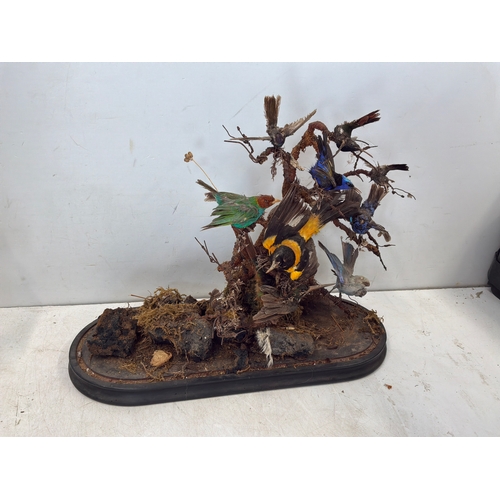 Lot 567       