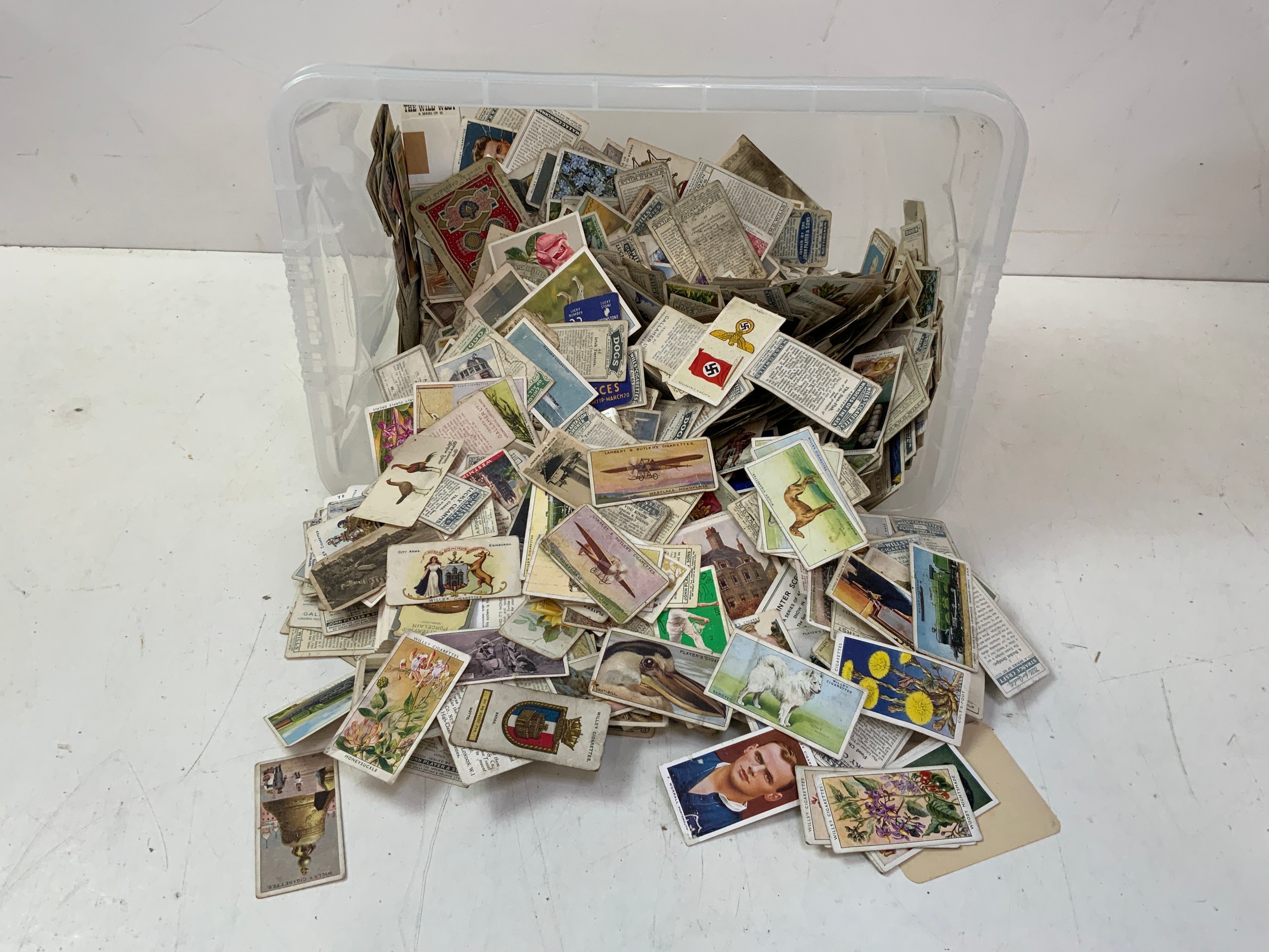 Cigarette Cards