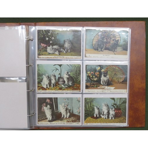 257 - Album of Approximately 240+ postcards including Mabel Lucie Atwell, Beatrice Mallett, Nursery Rhymes... 