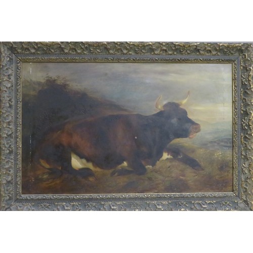 15 - William Huggins (1824-1910) gilt framed oil on panel depicting a recumbant cow, unsigned. Approx 32c... 