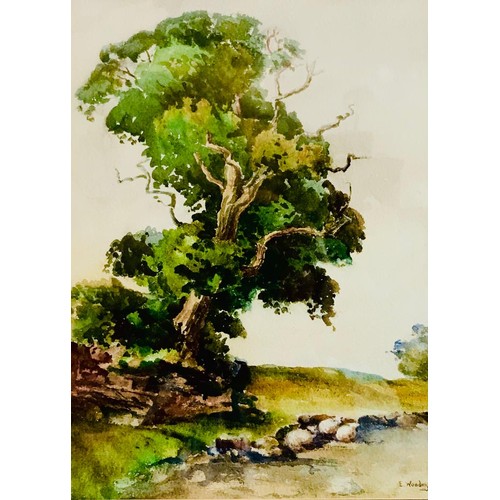 Lot 42        