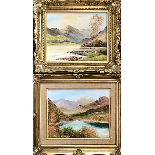 165 - TWO SMALL OIL ON CANVAS PICTURES, PROBABLY NORTH WALES