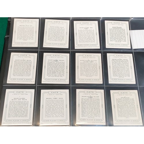 3 - Set of Players Cats cards