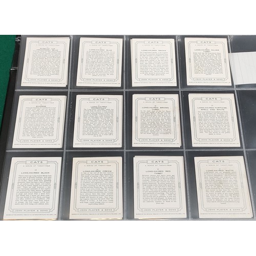 3 - Set of Players Cats cards