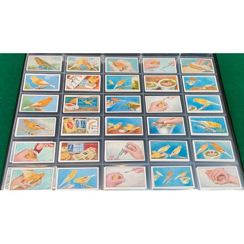 9 - Set of Hydes Canary Culture cards including premium cards